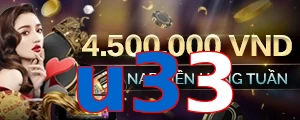 u33